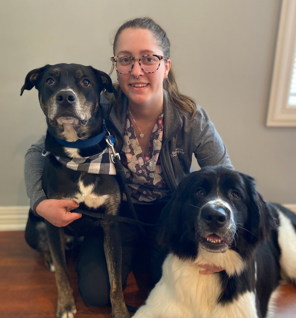 Cassie posing with two dogs. Image from Beechmont Pet Hospital's old website.
