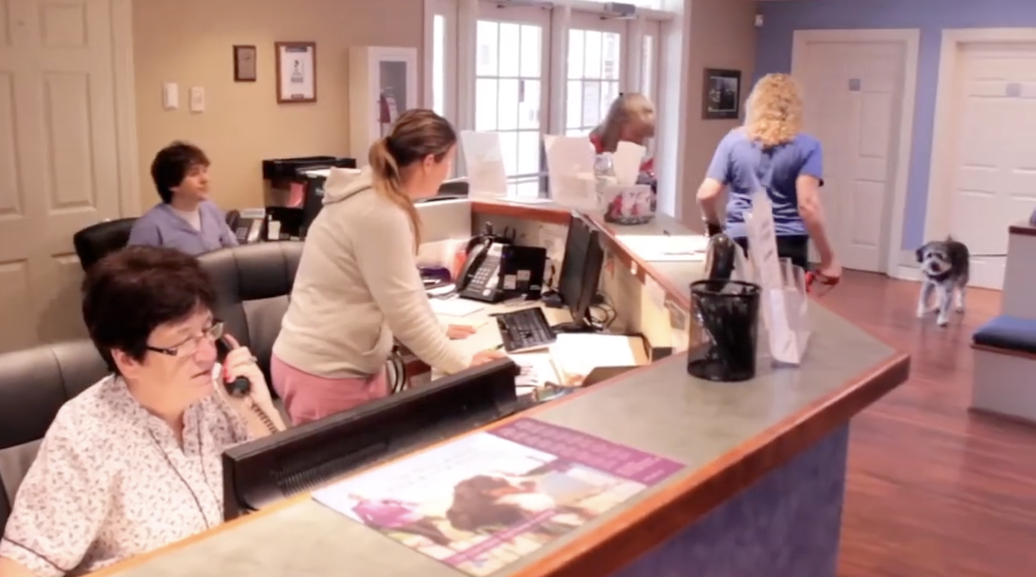 A group of employees around the front desk. Taken as a screenshot from Beechmont Pet Hospital Welcome Video posted by Stewart Smith on YouTube.