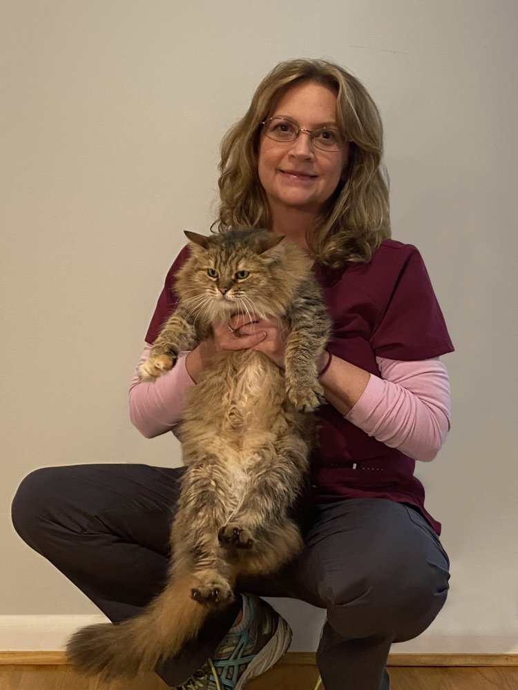 Dr. Joan Seifert holding a maine coon. Image from Beechmont Pet Hospital's old website.
