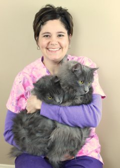 Dr. Meredit Meyer holding two grey cats. Image from Beechmont Pet Hospital's old website.