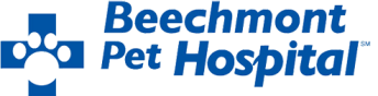 Logo for Beechmont Pet Hospital, featuring a blue plus sign with a white paw print inside of it.